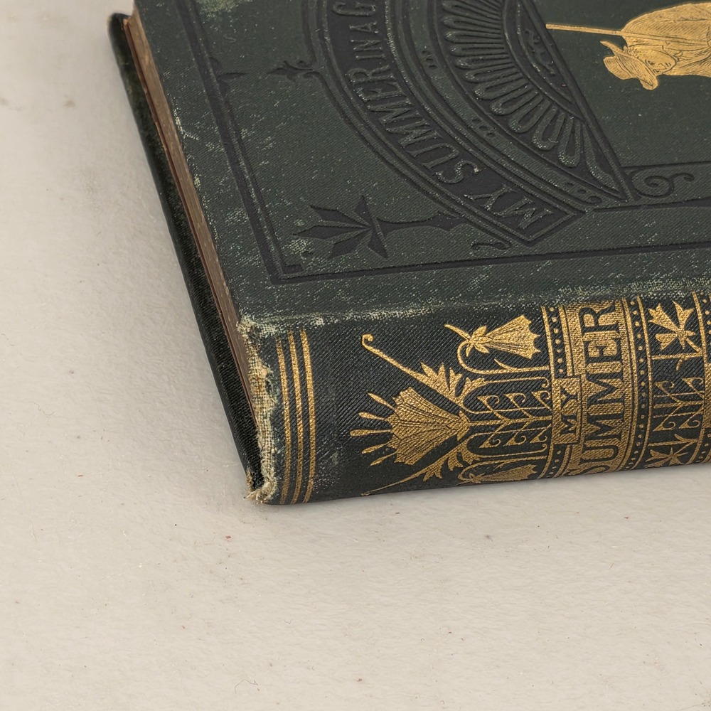 My Summer in a Garden Charles Dudley Warner 1891 Illustrated Darley 40th Edition - Picture 5 of 9